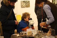 child looking through microscope
